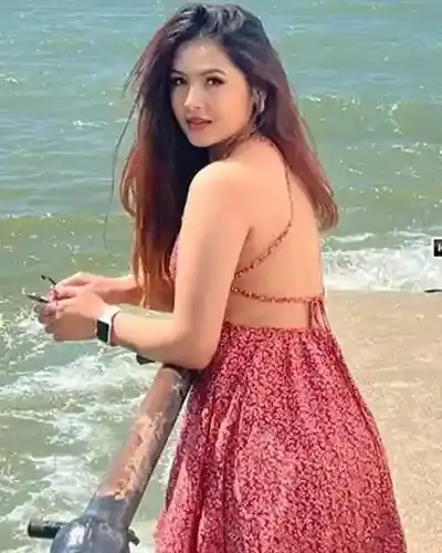 Bhalswa Jahangir Pur Escort Service