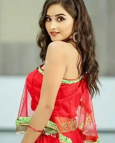 Escort In Bhalswa Jahangir Pur
